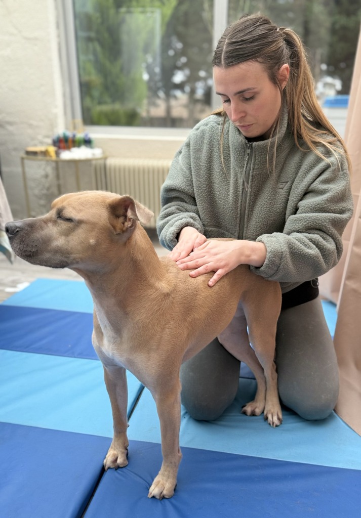 photo seance Floriane ANSAR