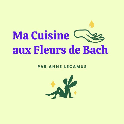 photo cabinet EI Anne Lecamus