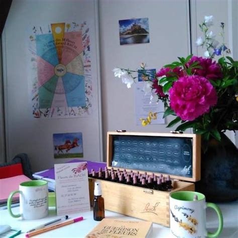 photo seance EI Anne Lecamus