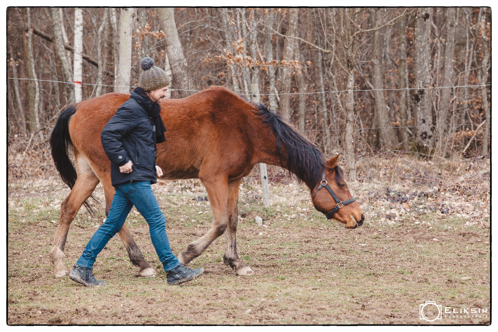 photo seance EquiSuisJe - Centre de Ressourcement et Transition