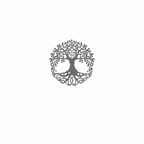 photo diplome Émilie Lebreton