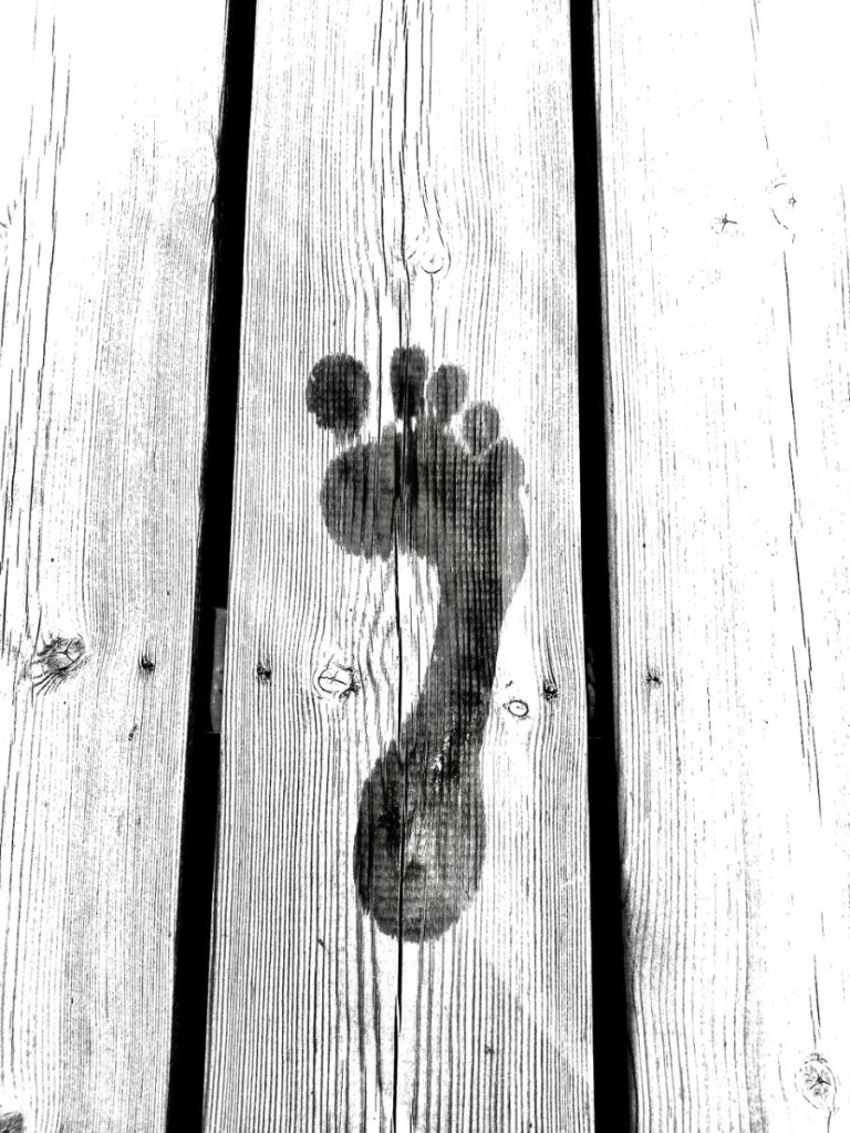 photo portrait Reflexopied68