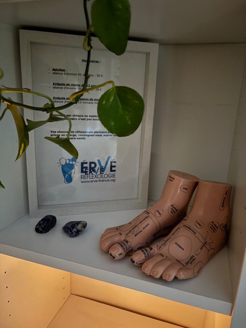 photo seance Reflexopied68