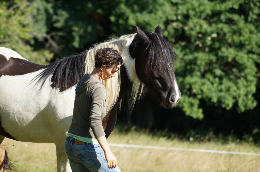 photo seance Valérie Ferrand Médiation animale