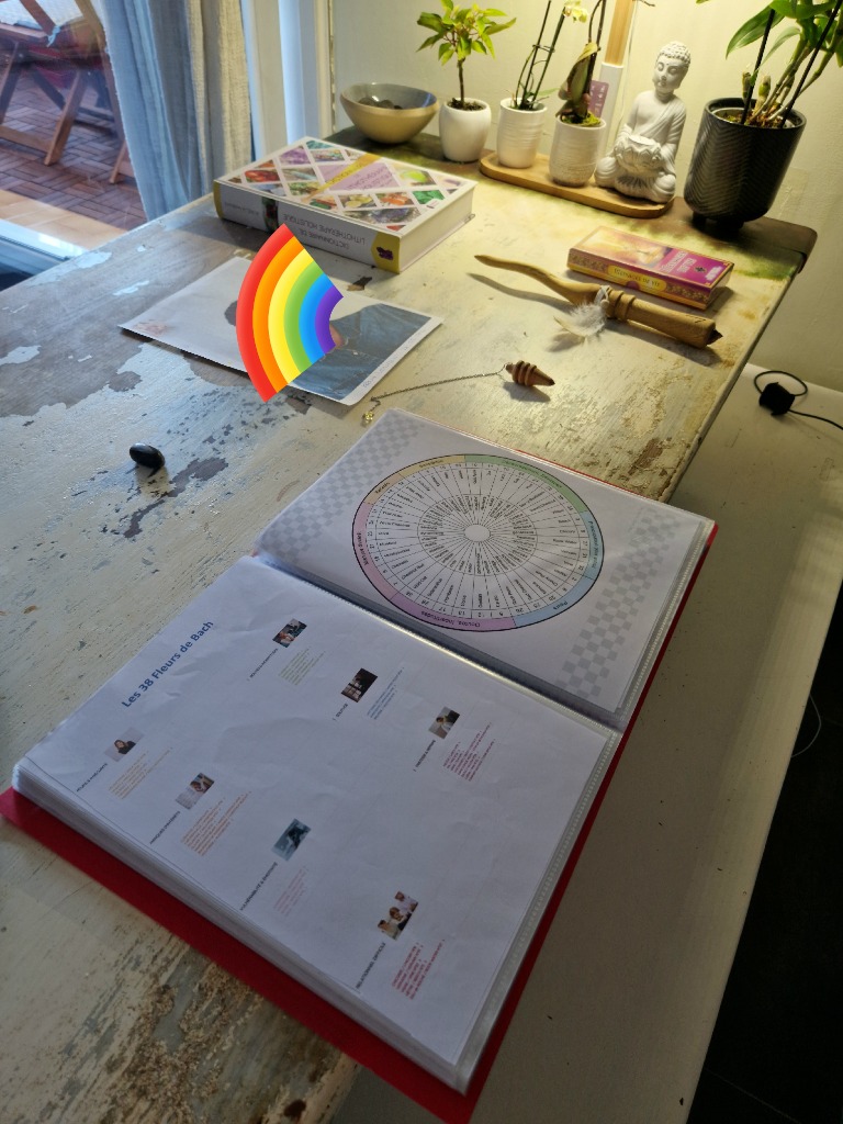 photo cabinet Magali Bona