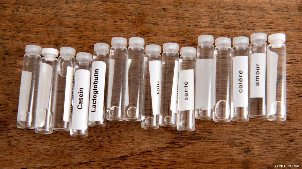 photo activite Sandra Canty