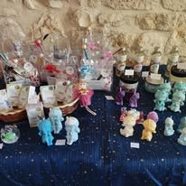 photo activite Trésors de Mésanges, Les Ailes du Meiux-Être