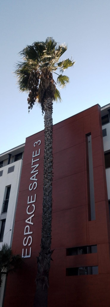 photo seance Toumi Flora psychanalyste et sexothérapeute 