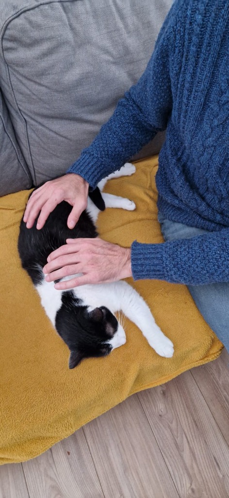 photo activite Nicolas jacques magnetiseur27