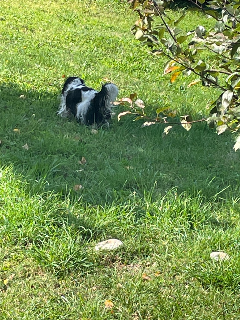 photo activite Angeline Lacroix 