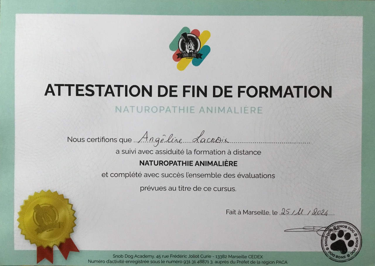 photo diplome Angeline Lacroix 