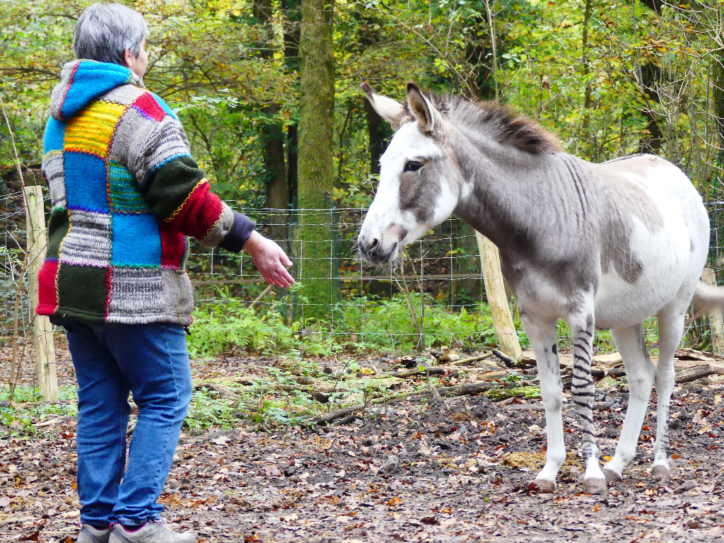 photo activite Florence 2.0