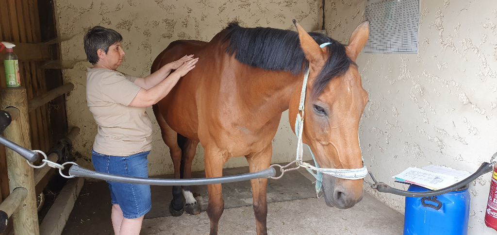 photo diplome Florence 2.0