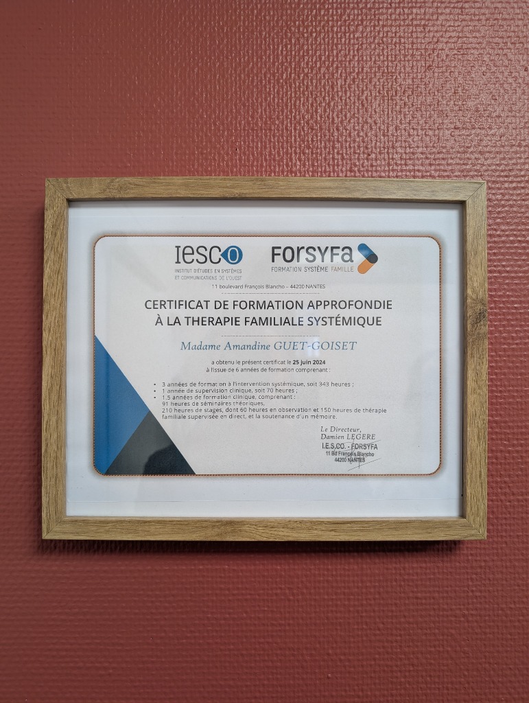 photo diplome Amandine Guet-Goiset 