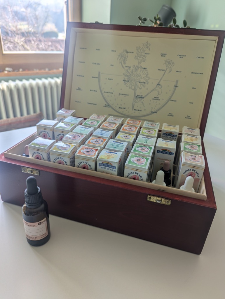 photo activite Agathe Burgniard