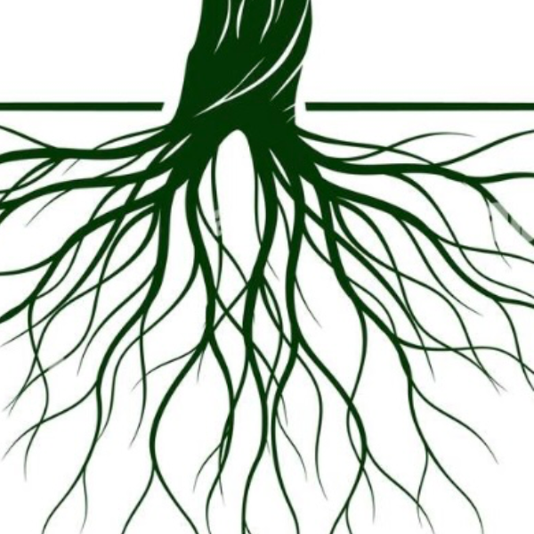 Severine psychopraticienne holistique