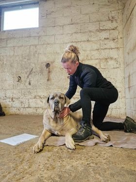 photo seance Souffle Animal Shiatsu - Amandine Laloup