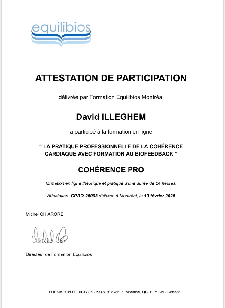 photo diplome David Illeghem