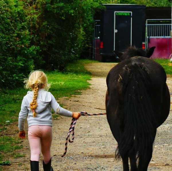 Equin pour l’autre