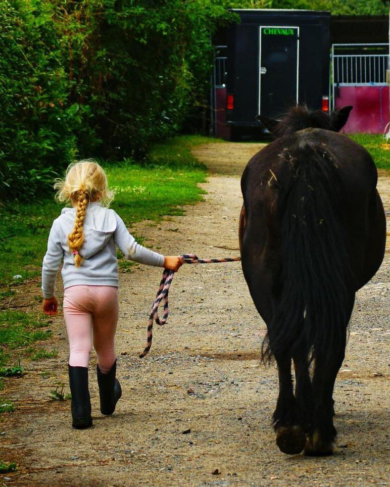 photo cabinet Equin pour l’autre