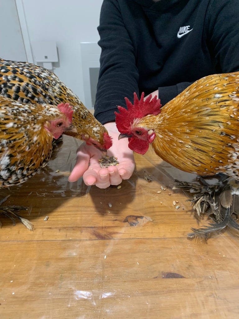 photo activite SILBARA - Mélanie DELEINE