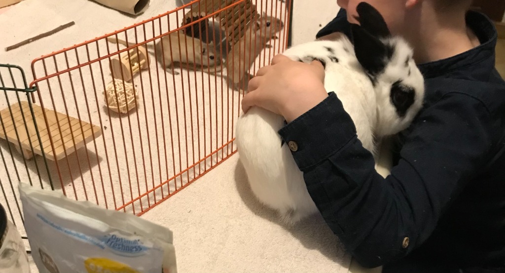 photo portrait SILBARA - Mélanie DELEINE