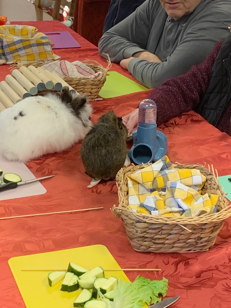 photo seance SILBARA - Mélanie DELEINE