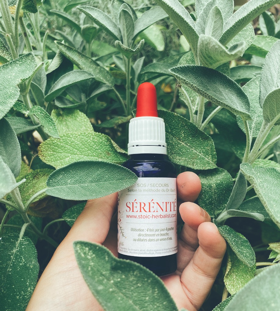 photo seance Stoic Herbalist