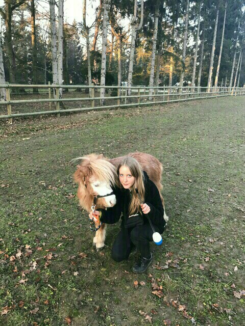 photo activite Dans Le Meilleur Des Mondes