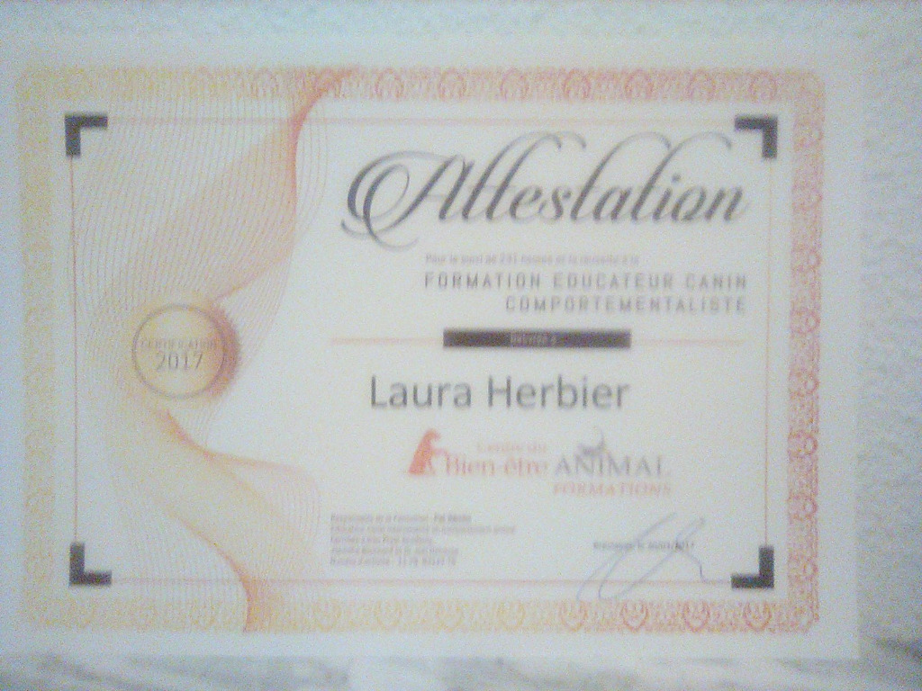 photo diplome Dans Le Meilleur Des Mondes