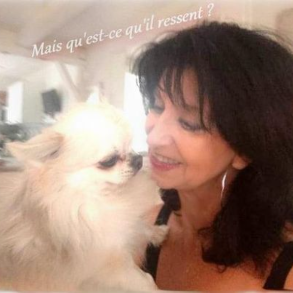 Laurence LUCCHESI - COMMUNICATION ANIMALE