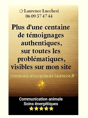photo activite Laurence LUCCHESI - COMMUNICATION ANIMALE