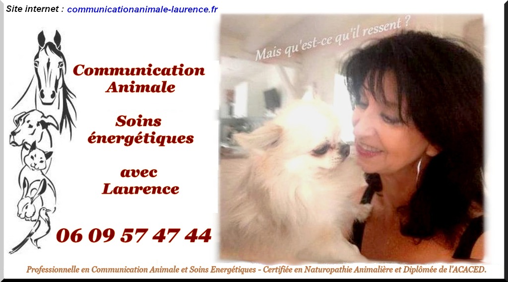 photo portrait Laurence LUCCHESI - COMMUNICATION ANIMALE