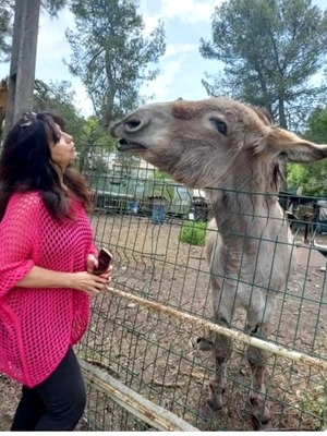 photo seance Laurence LUCCHESI - COMMUNICATION ANIMALE