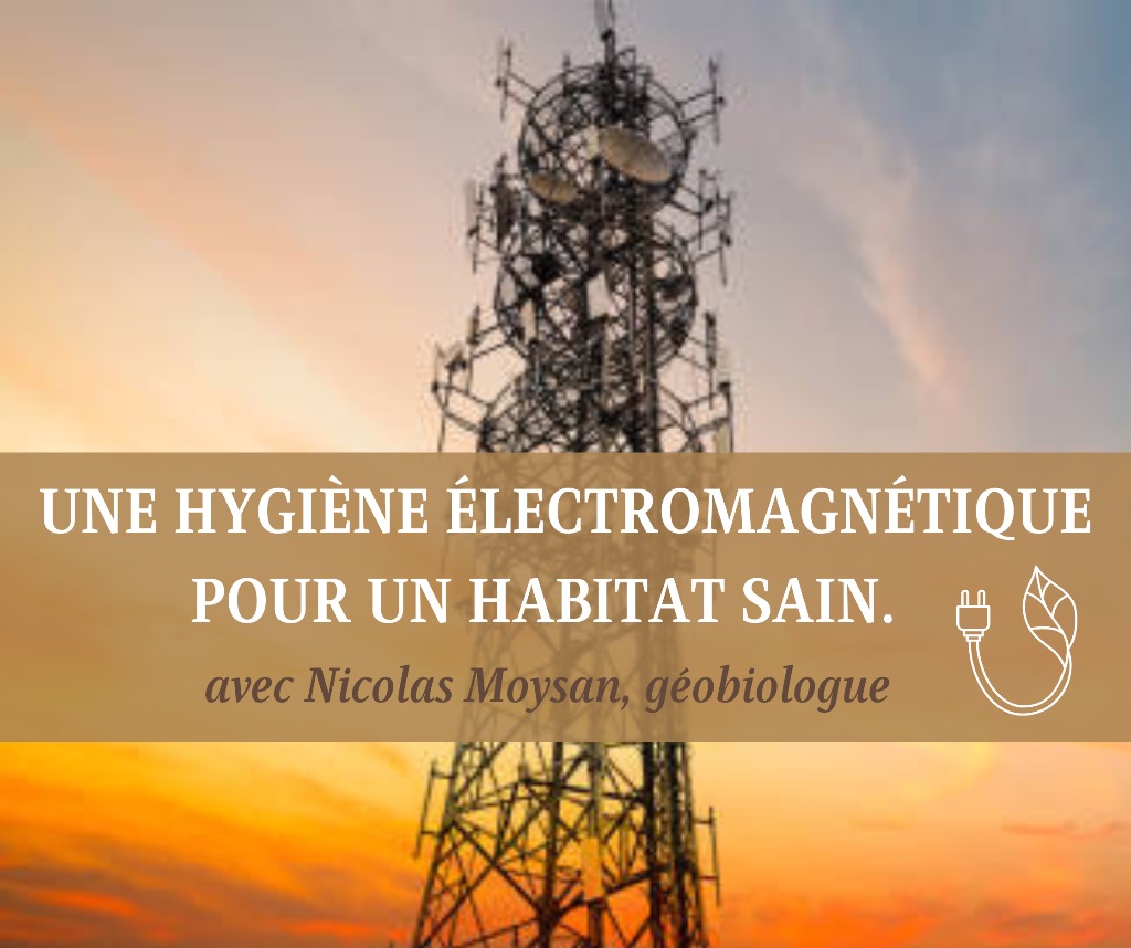 photo cabinet Nicolas Moysan (Geobionico)