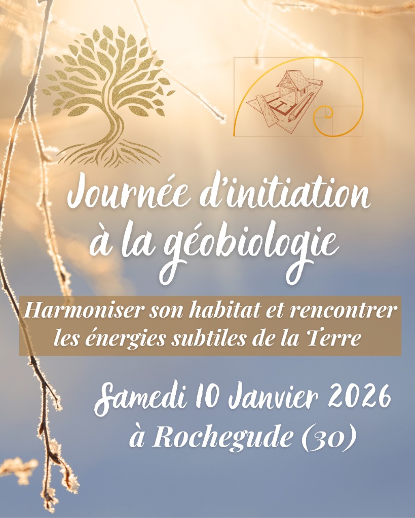 photo diplome Nicolas Moysan (Geobionico)