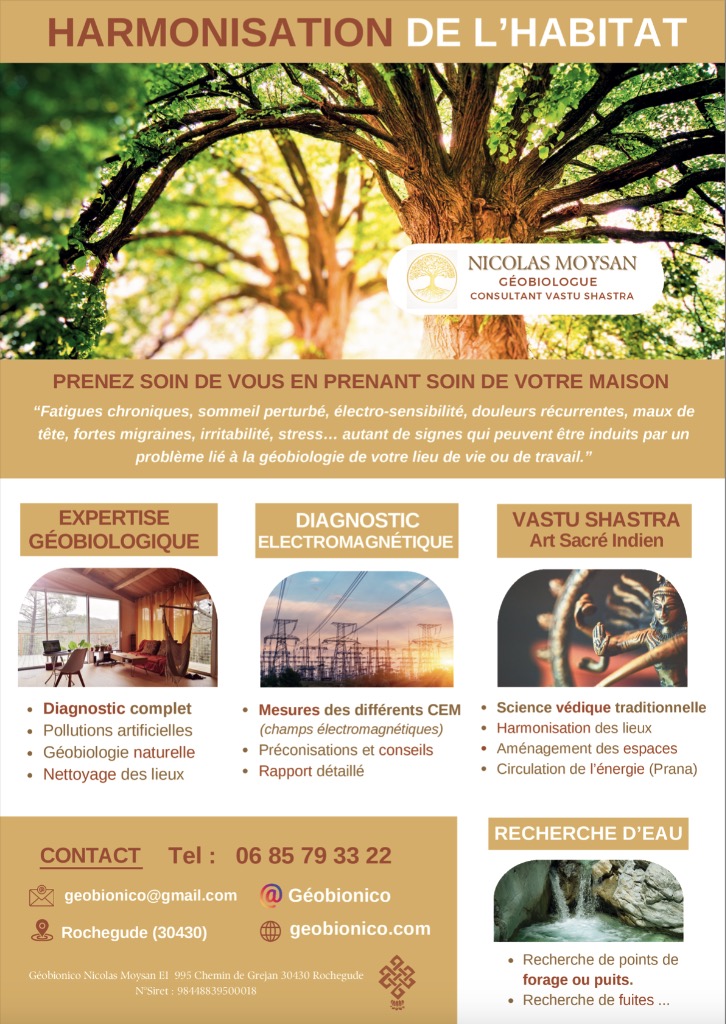 photo seance Nicolas Moysan (Geobionico)