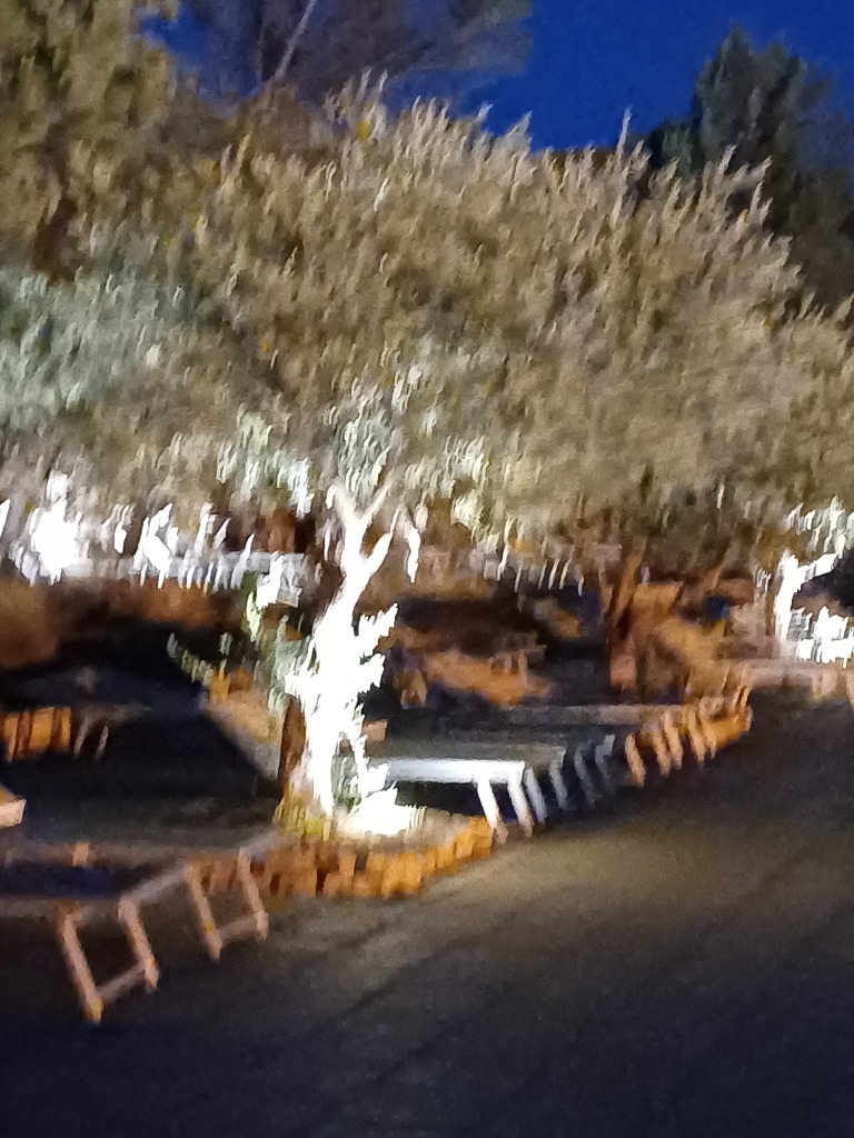 photo activite Les Constellations Familiales de l’Olivier 