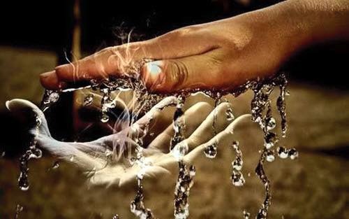 photo activite Madden Elodie