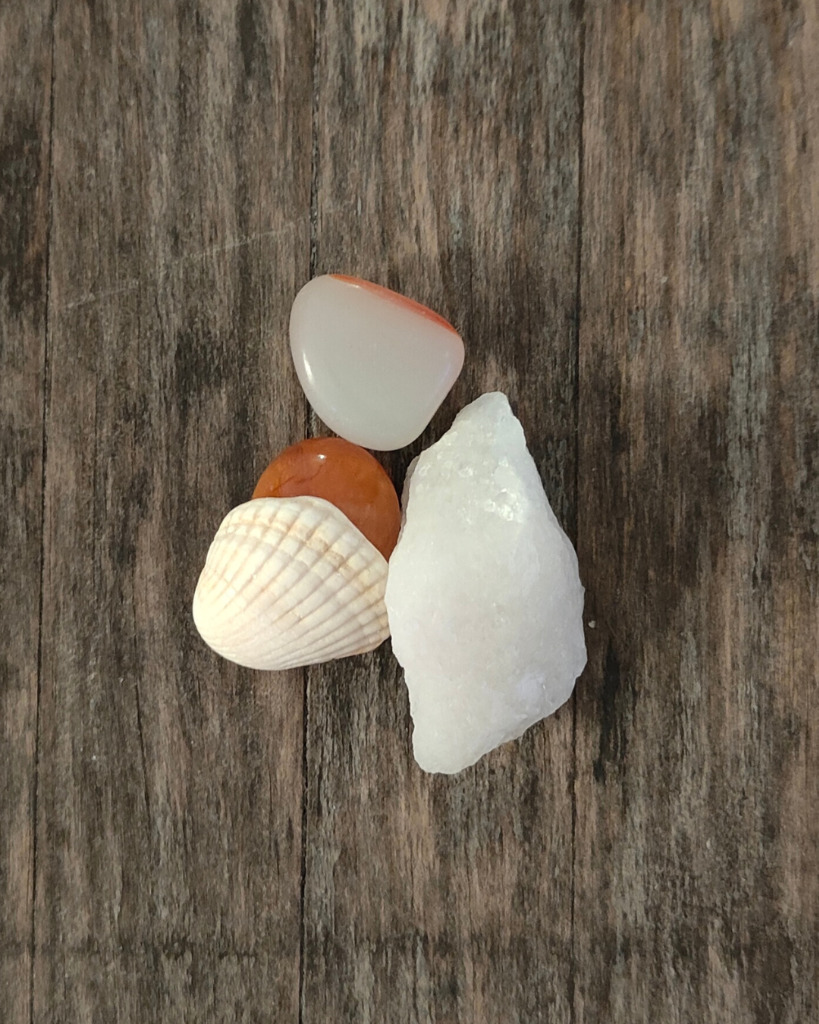 photo seance Hélène Pourchet