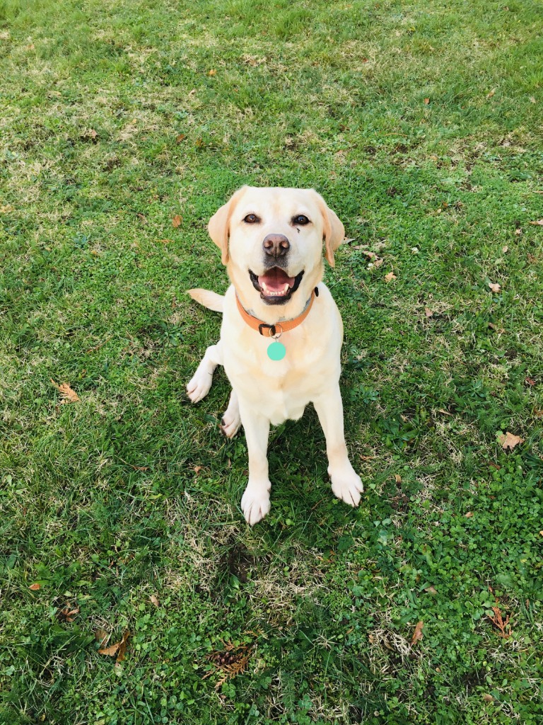 photo seance Myriam Daret