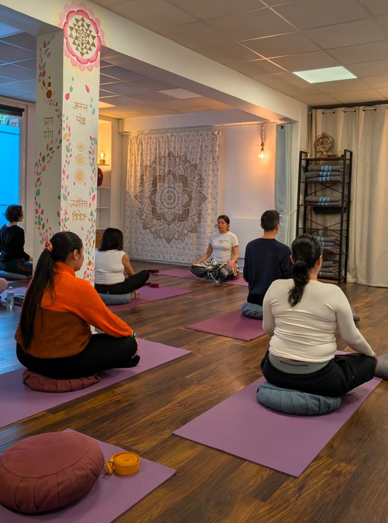 photo activite Ariana Gonzalez