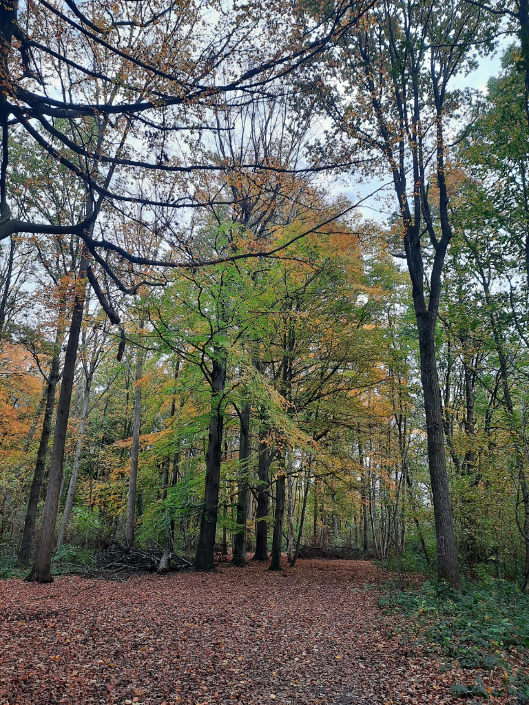 photo seance Anne Muller