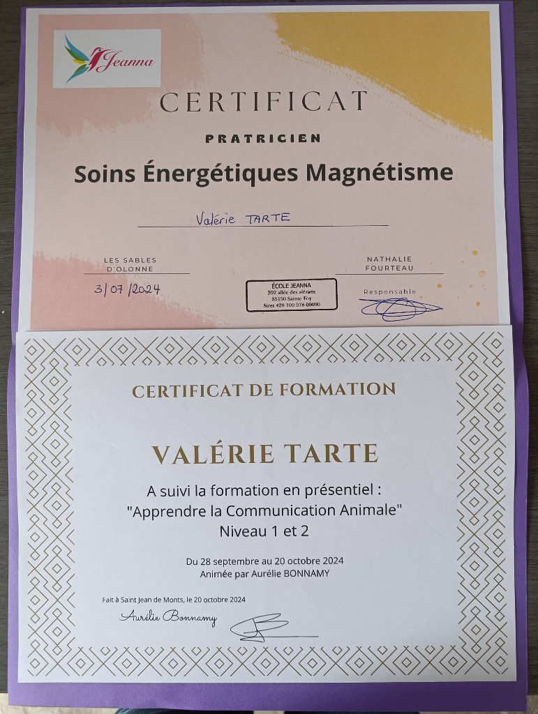 photo diplome La Vie Violette - Valérie Tarte