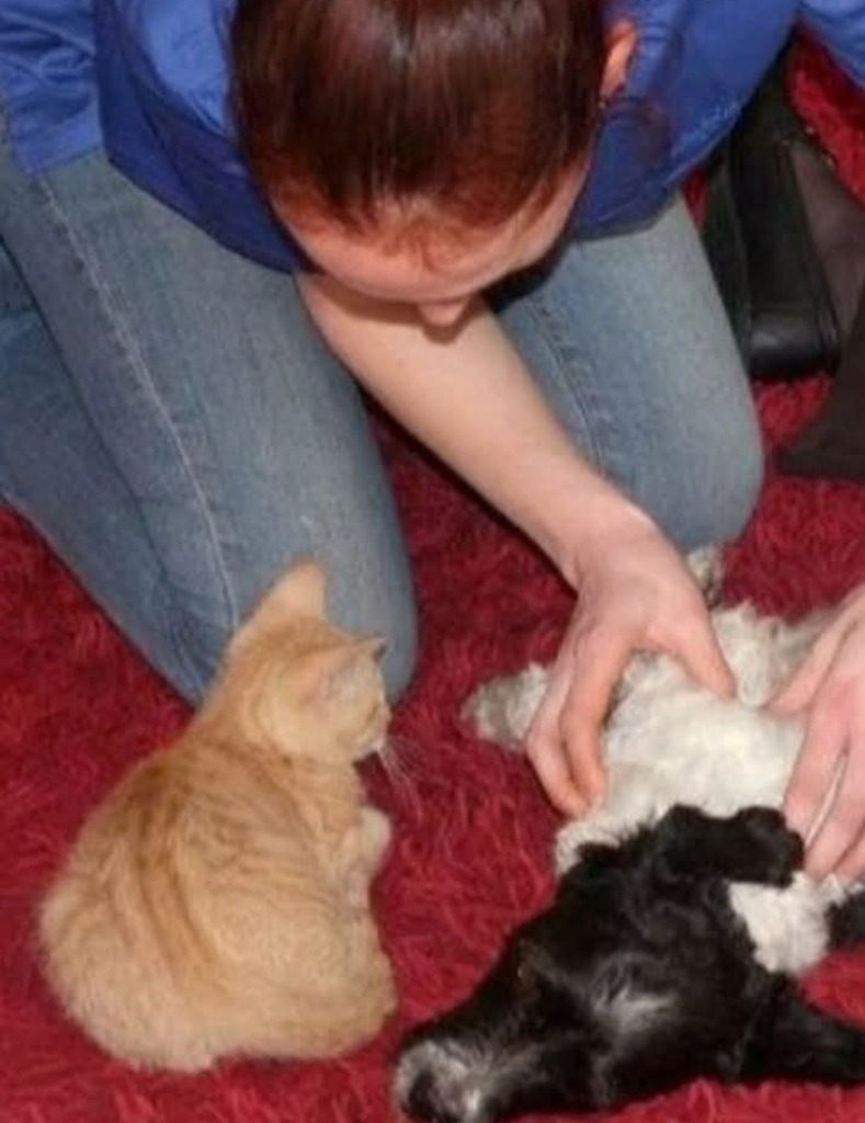 photo seance Les pas de Layah 