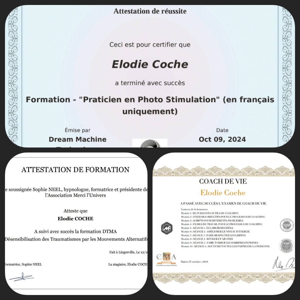 photo diplome Elodie Coche