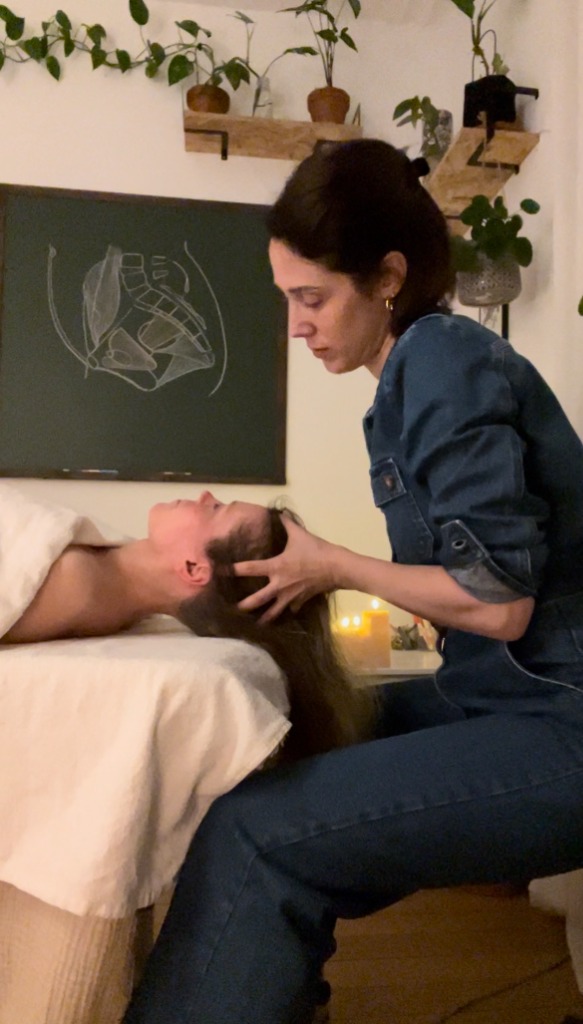 photo seance Johanne Gagner BIEN Naturopathe