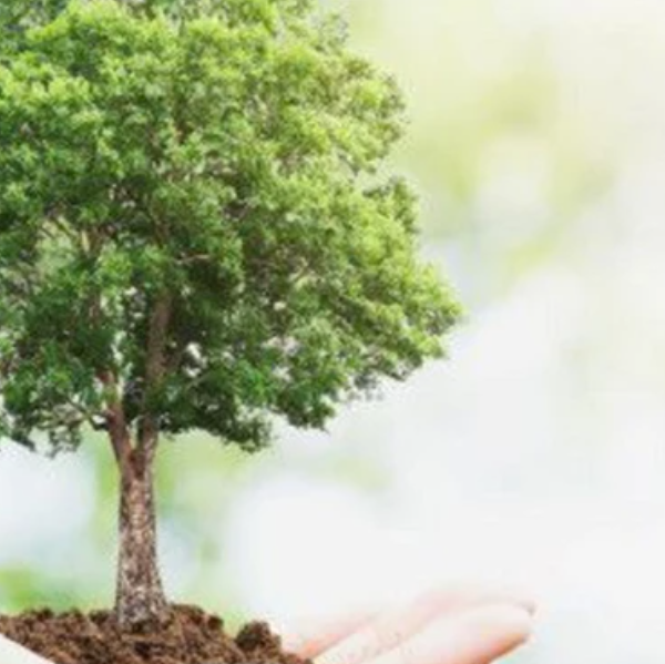 Noelia Bernstein Delannes