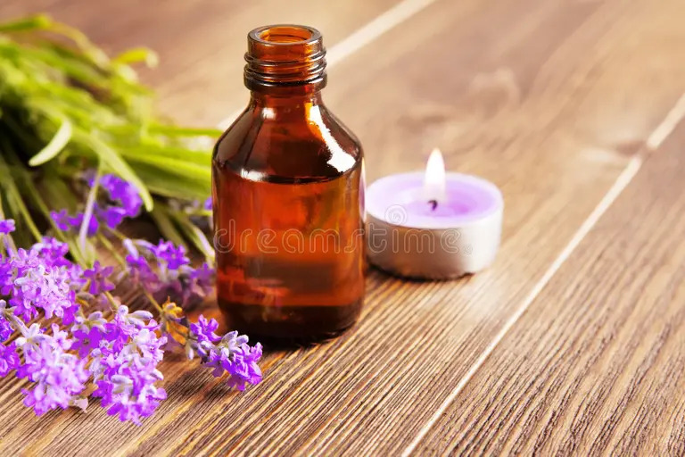 photo activite Nathalie Mortreux