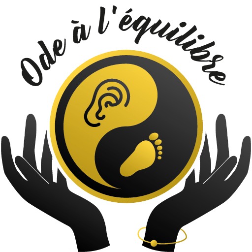 photo activite Aude Vidal Nunes 